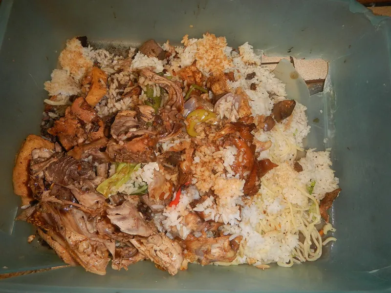 Home-cooked shredded meat with rice (illustrative photo)
