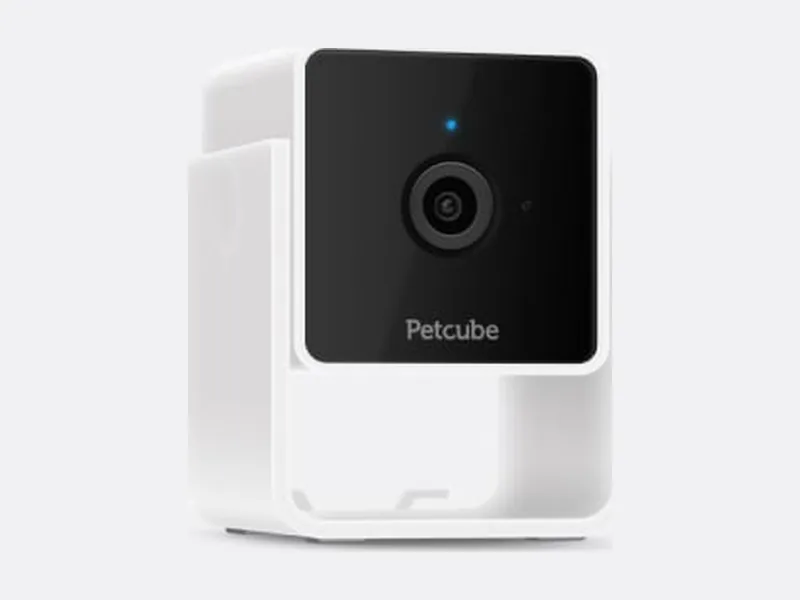 Petcube Cam, a small white indoor pet camera with a black front panel