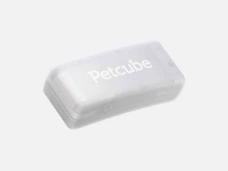 Petcube GPS Tracker, a small translucent white clip-on dog tracker with the Petcube logo